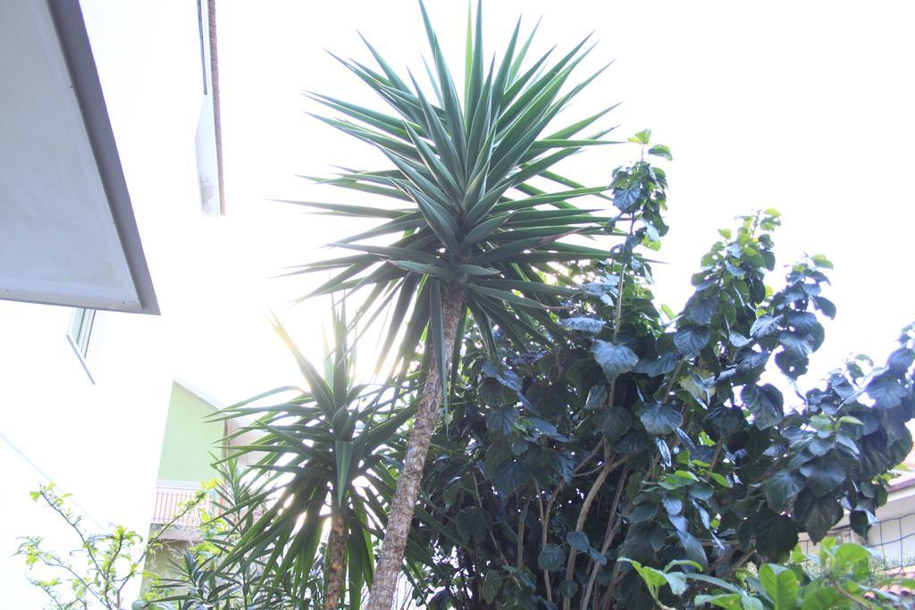 B&B Mimosa Giardini Naxos Exterior photo